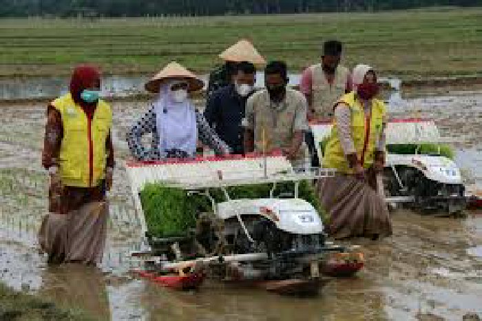 Kadistanbun : Petani Aceh Lebih Lebih Sejahtera Dari Petani Sumut