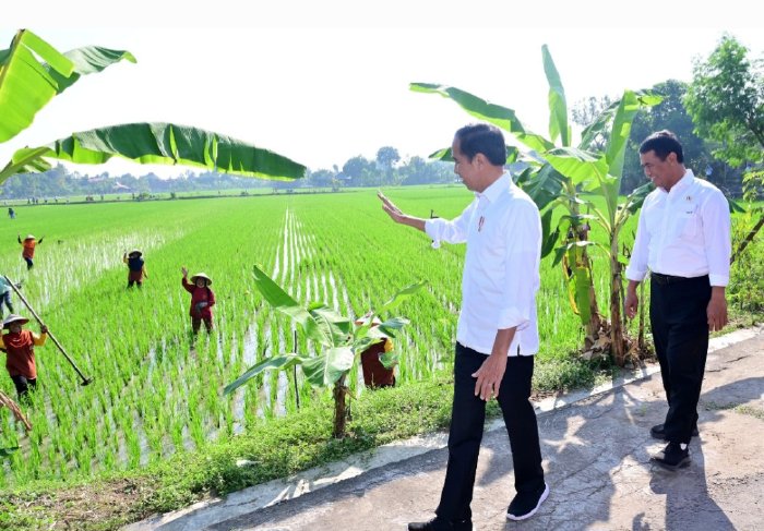 Hari Krida Pertanian, Kementan Ajak Semua Pihak Kolaborasi Bangun Pertanian Indonesia