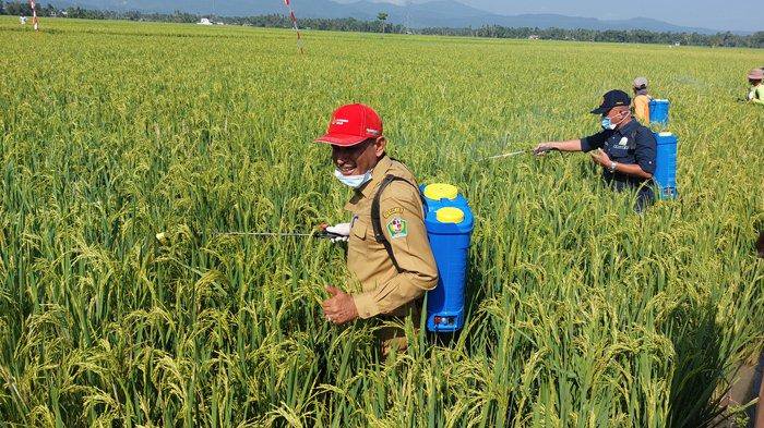 Bantuan Alsintan Diserahkan pada Kelompok Tani di Pidie