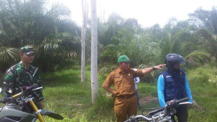 Minim Sumber Air, Ribuan Hektare Sawah di Aceh Tamiang Terancam Batal Tanam