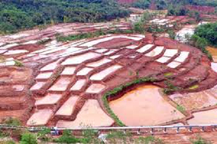 Kementan Pastikan Program Cetak Sawah Berjalan Lancar