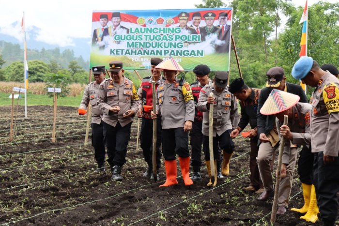 Polres Aceh Tengah Bersama Instansi Terkait Tanam Jagung Hibrida di Mulie Jadi