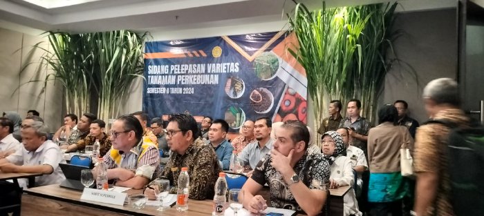 Sidang Pelepasan Varietas Tanaman Perkebunan Semester II Tahun 2024
